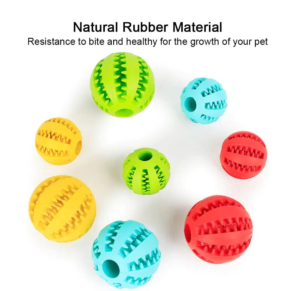 Dog Ball Toy