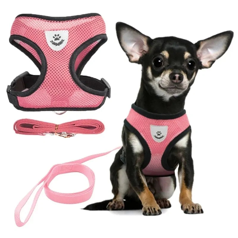 Walking Harness for Pets