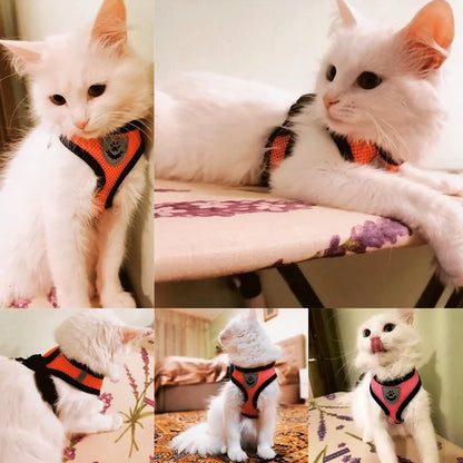 Walking Harness for Pets