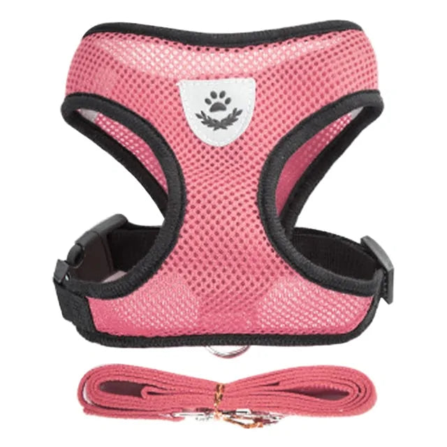 Walking Harness for Pets