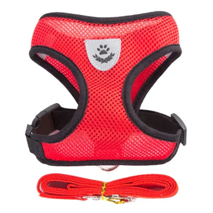 Walking Harness for Pets