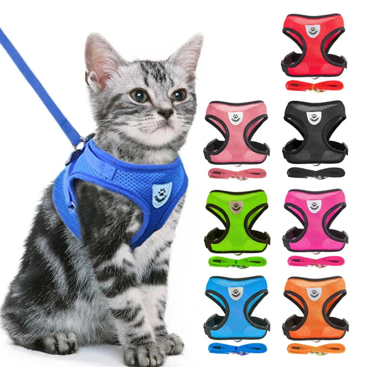 Walking Harness for Pets