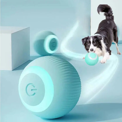 Electric Dog Toys