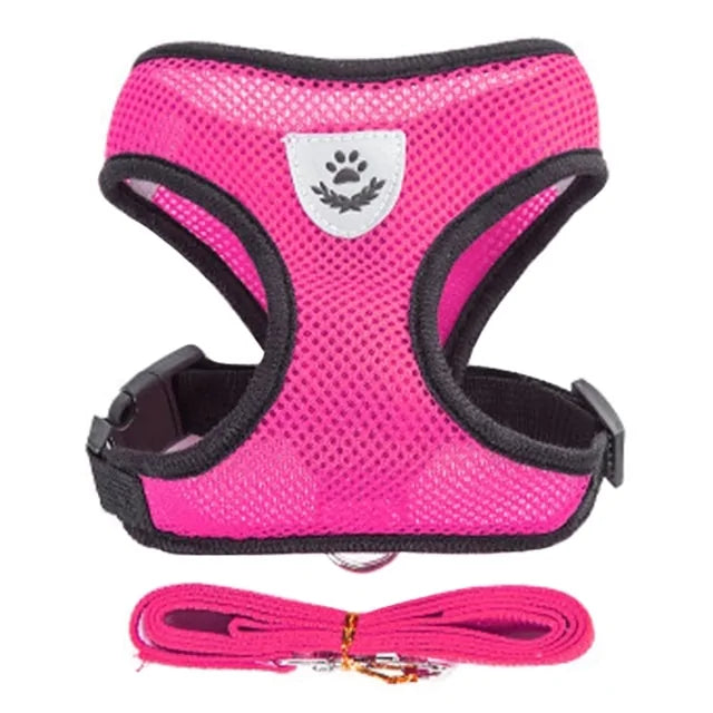 Walking Harness for Pets