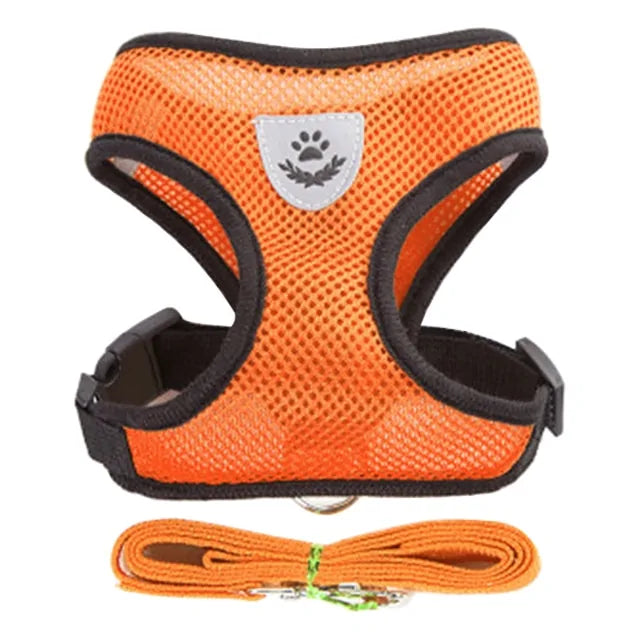 Walking Harness for Pets