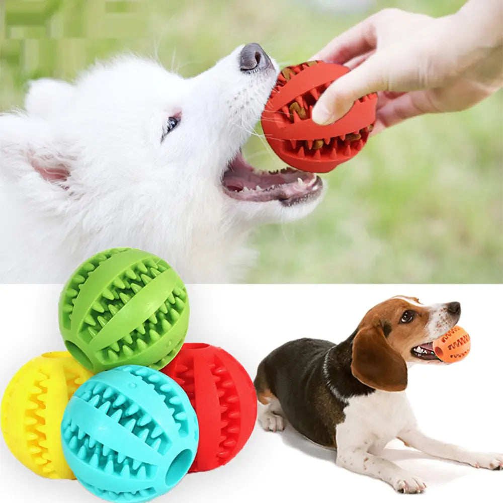 Dog Ball Toy