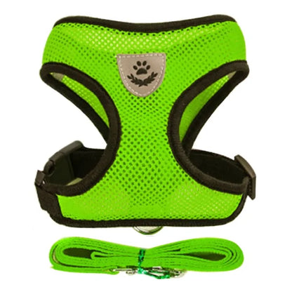 Walking Harness for Pets